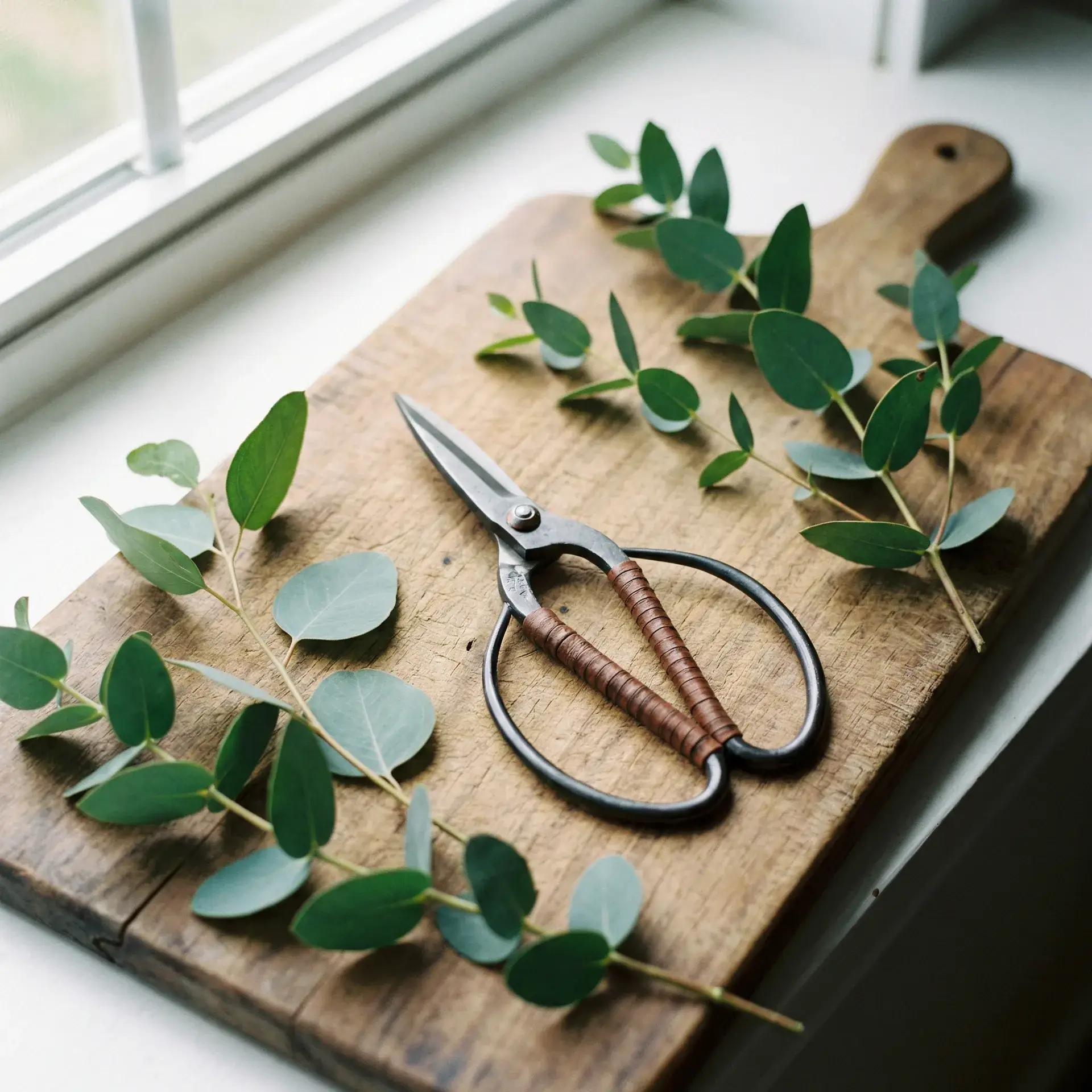 日式花艺剪刀 - 探花